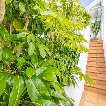 Loft En Con Vistas A Africa * Тарифа